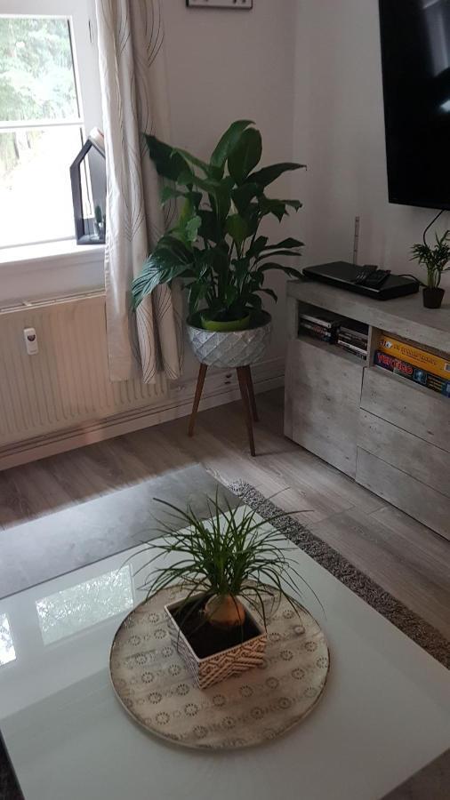 Stadtnah An Der Forde Apartamento Flensburg Exterior foto